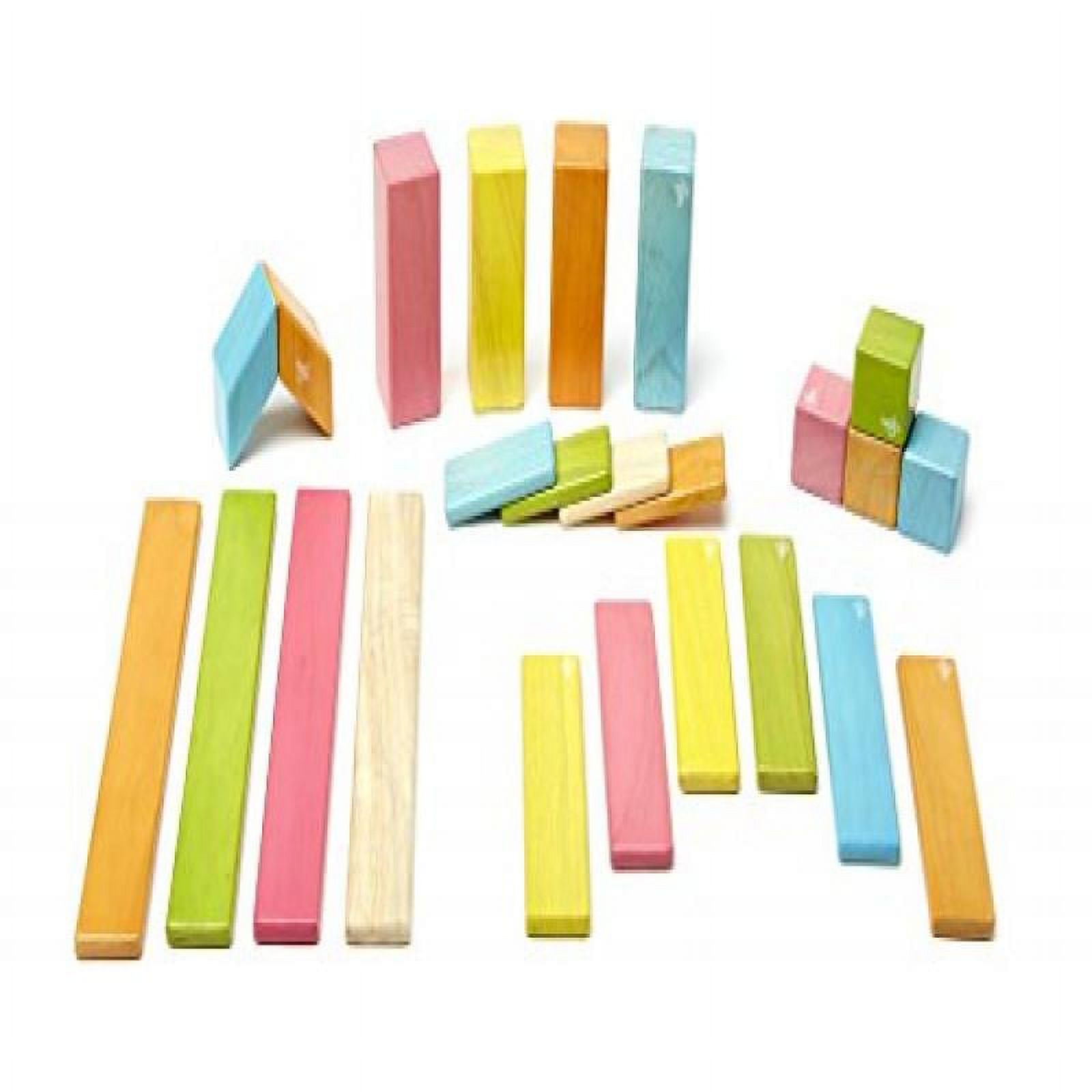 24 Piece Tegu Magnetic Wooden Block Set, Tints