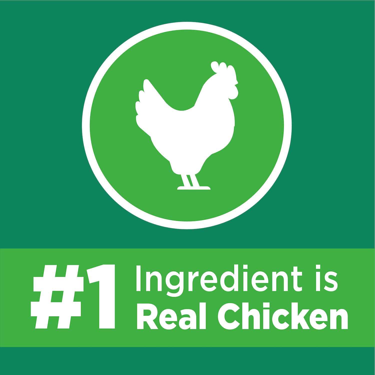 IAMS ProActive Lively Senior Dry Cat Food - Pet Supplies online store