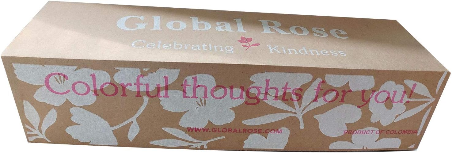 Red Carnations- 100 Fresh Cut Flowers- Lovely Gift (OM)