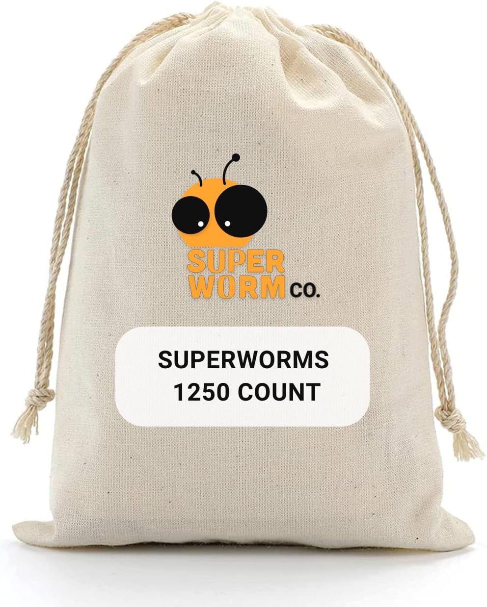 Bulk Superworms - Medium 1