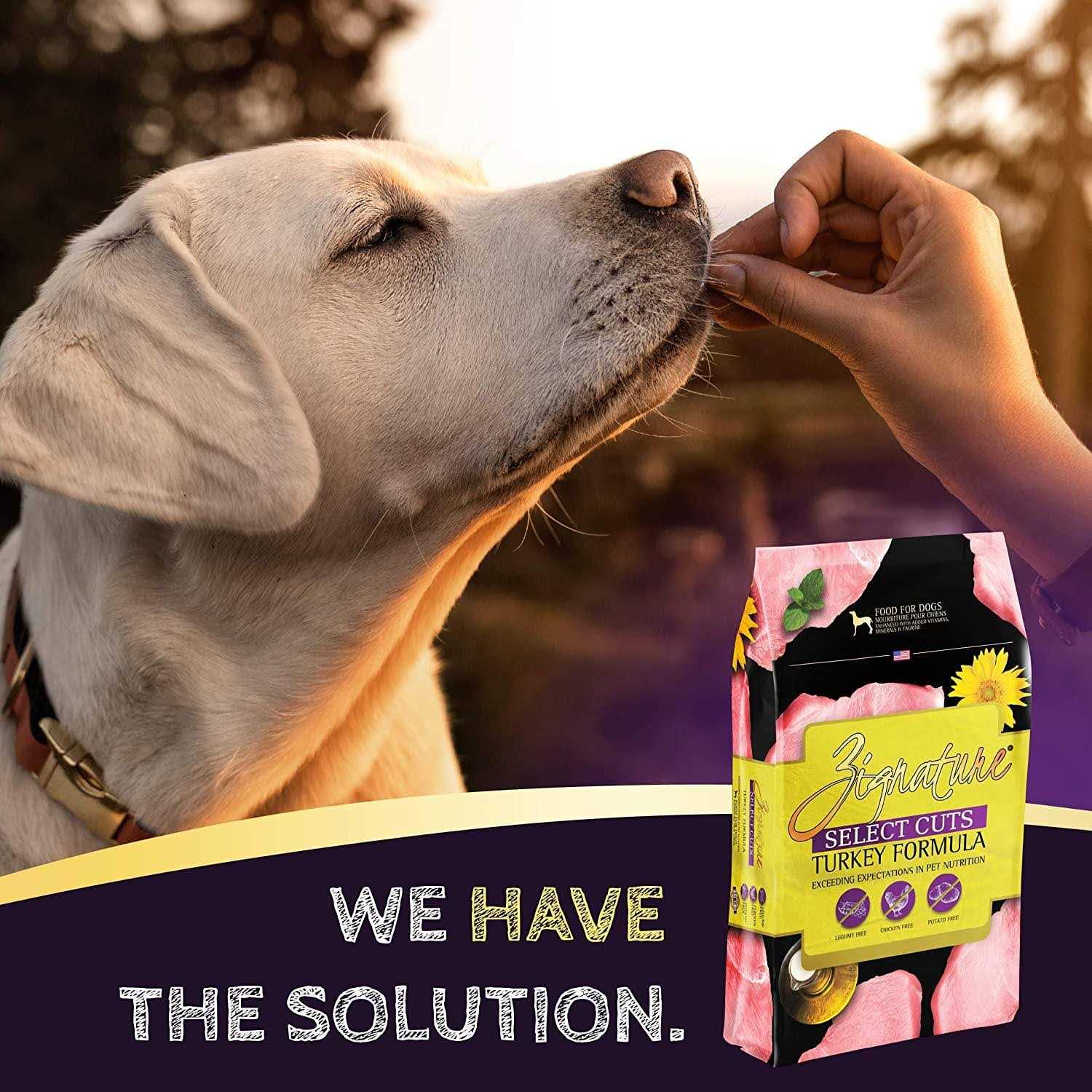 Zignature Select Cuts Turkey Formula Dry Dog Food - Pet Supplies online store