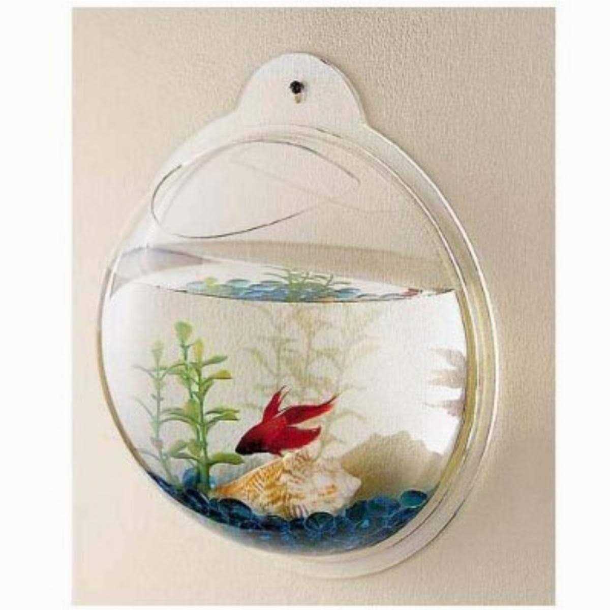 CNZ Wall Mounted Acrylic Fish Bowl - Pet Supplies online store
