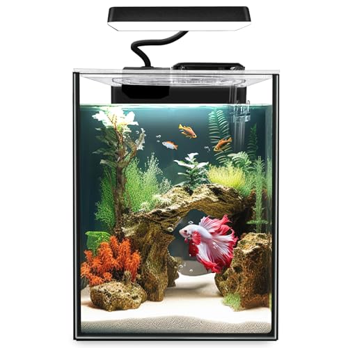 Glass Betta Aquarium Starter Kits 1.5 Gallon Small Fish Tank, Betta Fish Tank with LED Light, Power Filter, Black. 4mm Glass