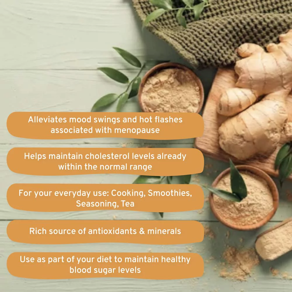 SPICE TRAIN, Organic Ginger Powder (454g/16oz) 100% Raw Ground Ginger Root Powder from India in Resealable Zip Lock Pouch | Active Gingerol, Perfect for Cooking, Baking Gingerbread, Smoothies & Tea