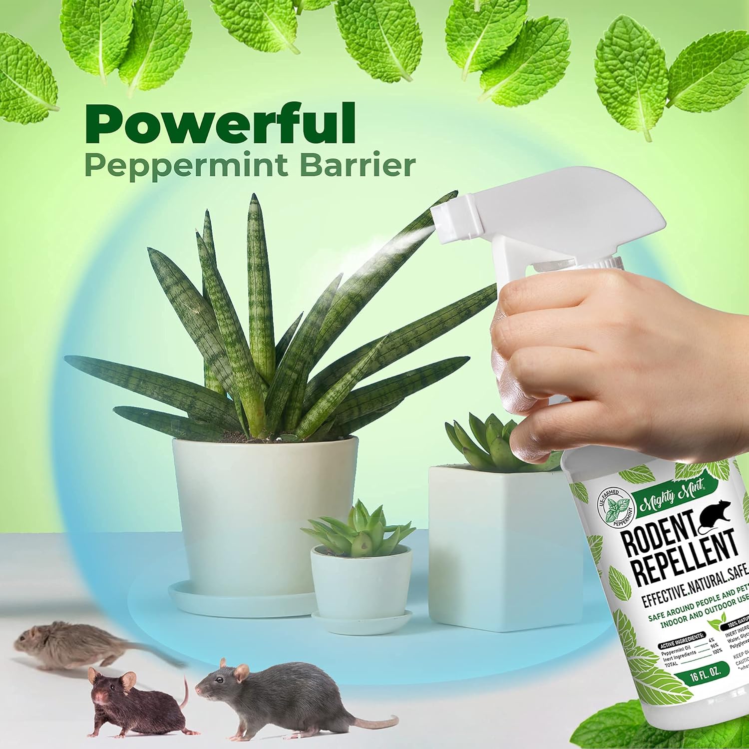 Peppermint Oil Rodent Repellent Spray and Concentrate - Makes 1 Gallon