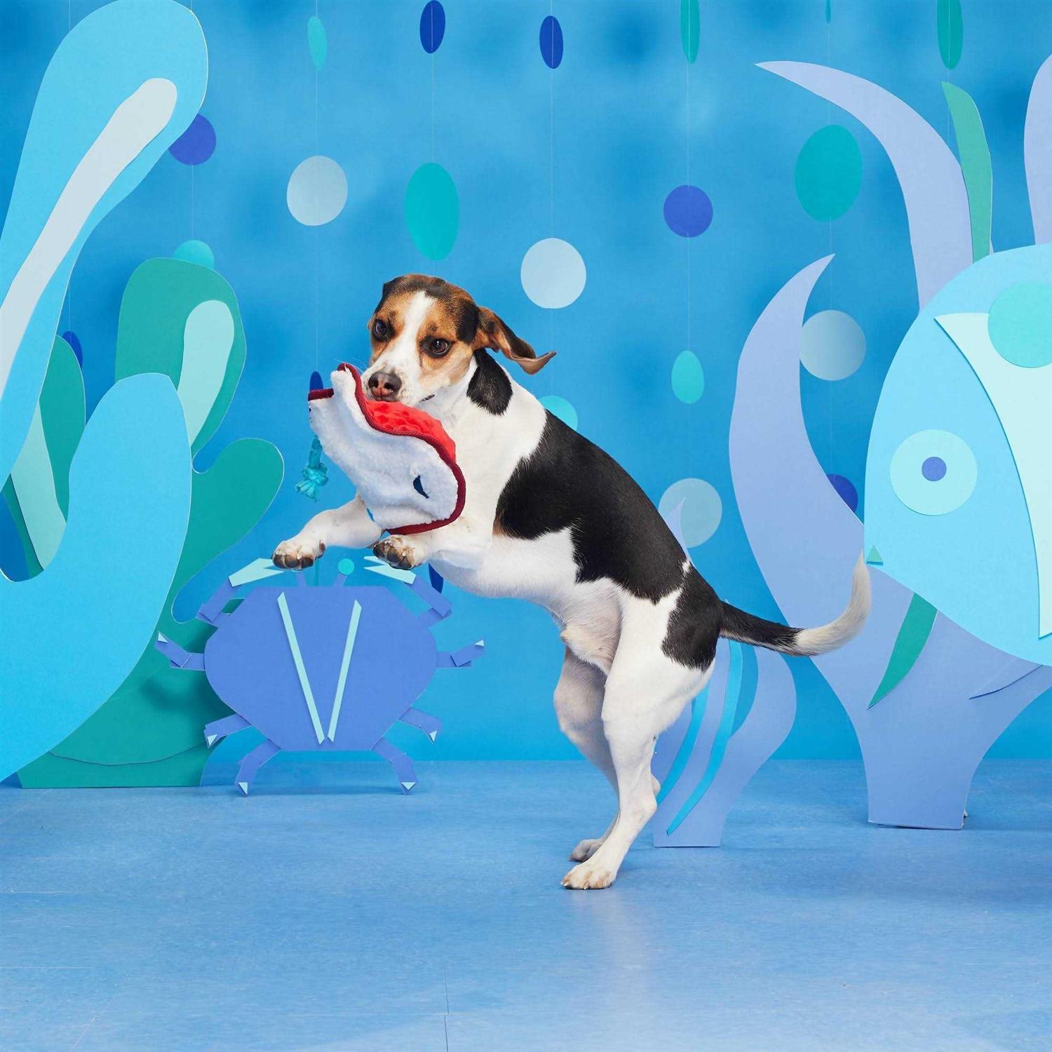 BARK Sting Crosby the Ray Dog Toy - Pet Supplies online store