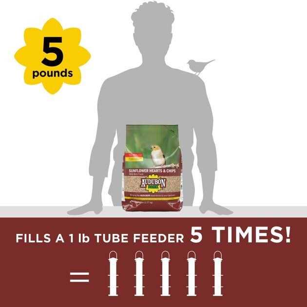Audubon Park Sunflower Hearts & Chips Wild Bird Food - Pet Supplies online store