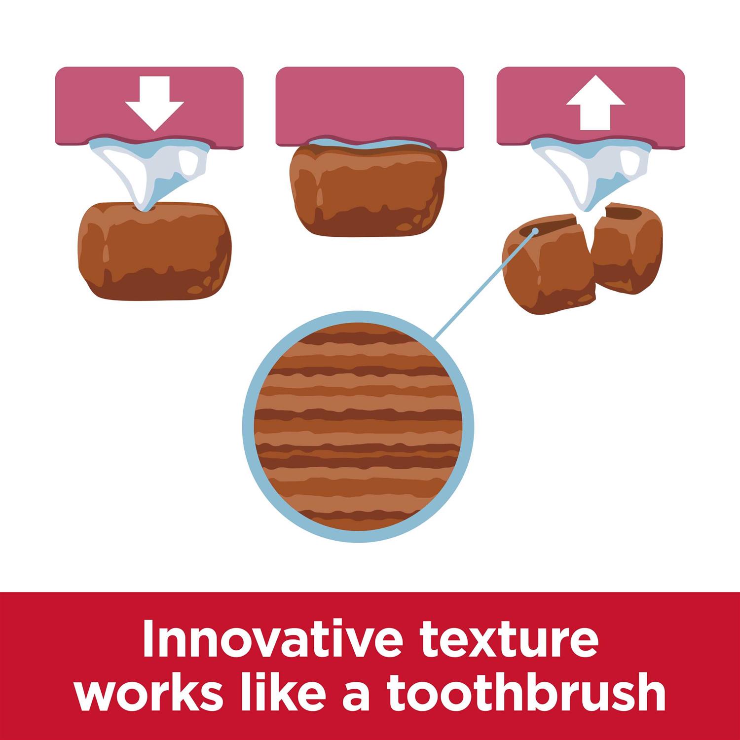 Hill's Science Diet Adult Oral Care Small & Mini Chicken Recipe Dry Dog Food - Pet Supplies online store