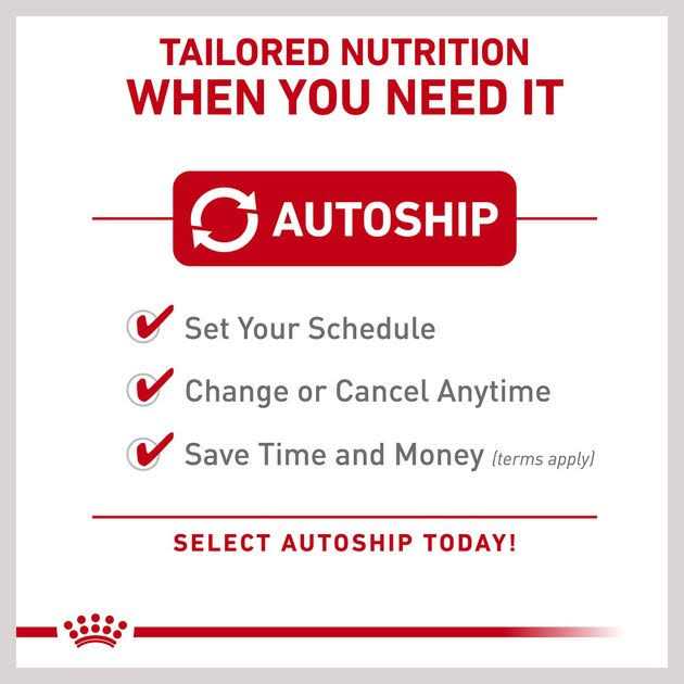 Royal Canin German Shepherd Adult 5+ Dry Food for Aging Dogs - Pet Supplies online store