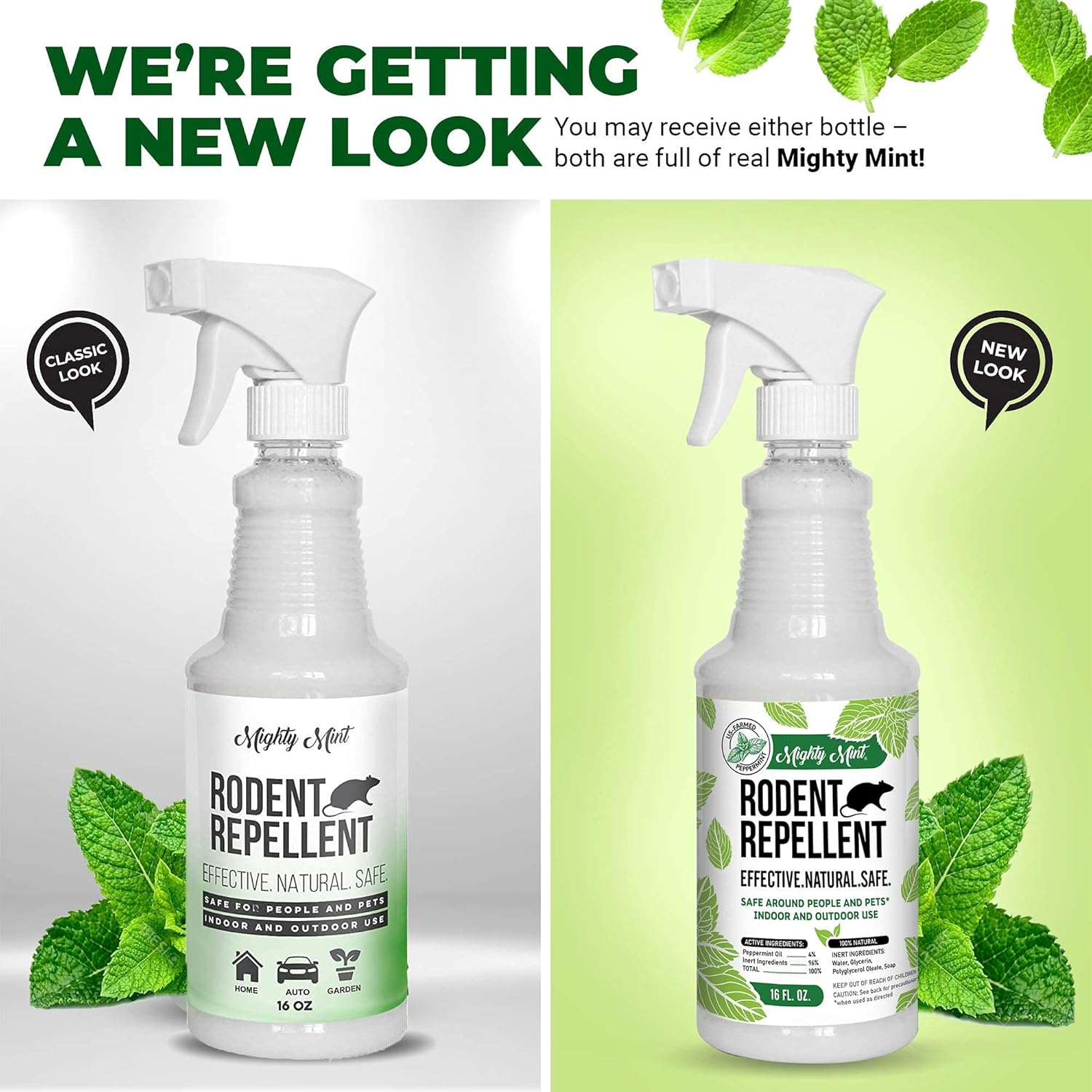 Peppermint Oil Rodent Repellent Spray and Concentrate - Makes 1 Gallon