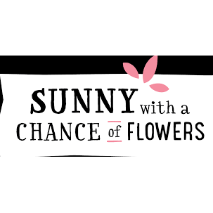Sunny with a Chance of Flowers Cabernet Sauvignon 750ml - Nestor Liquor