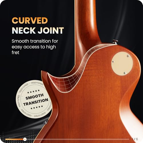 Fesley LP Electric Guitar with Arched Top:39