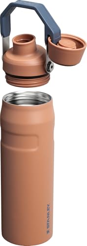 Stanley IceFlow Fast Flow Water Bottle | Angled Spout Lid | Lightweight & Leakproof for Travel & Sports | Insulated Stainless Steel | BPA-Free