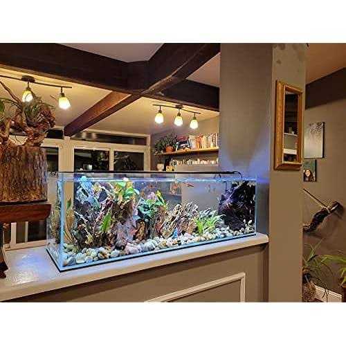Lifegard Aquatics Long Ultra Crystal Clear Bookshelf Aquarium - Pet Supplies online store