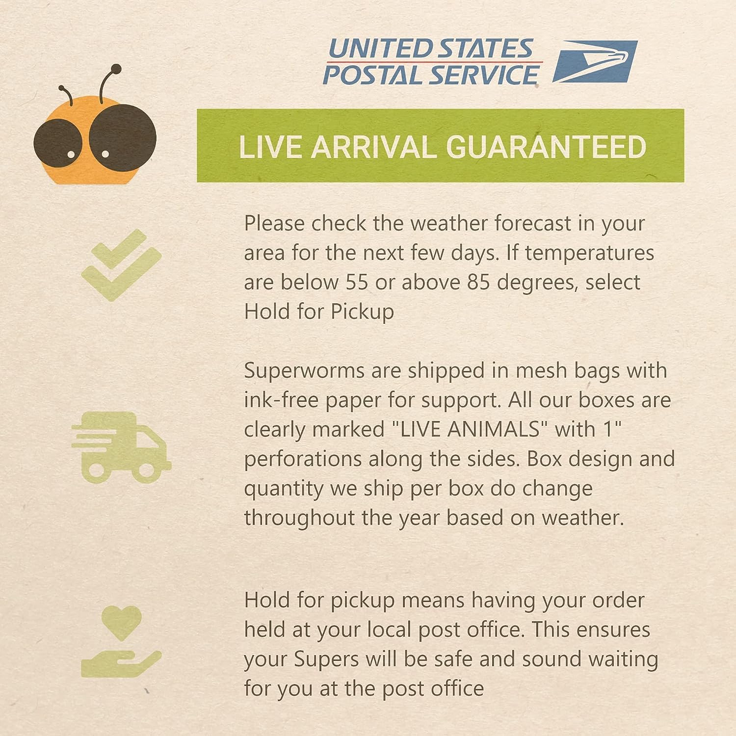 Bulk Superworms - Medium 1