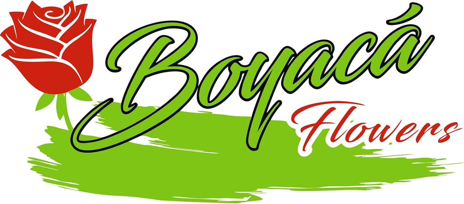 50 fresh roses, long stem 19.7