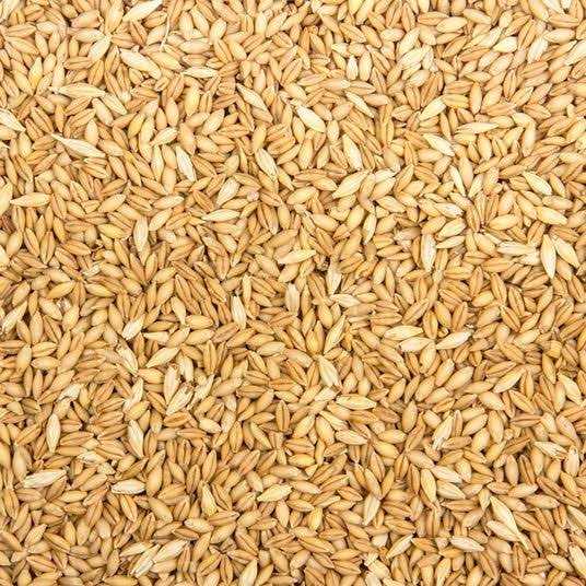 Azure Market Organics Whole Barley Animal Feed Organic - Pet Supplies online store