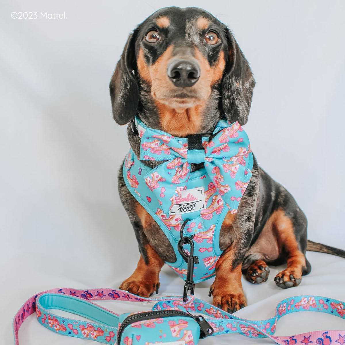 Barbie Dog Collar Sassy Woof - Pet Supplies online store