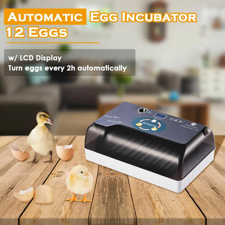 110V Egg Incubator With Automatic Egg Turning And Humidity Control With Turner Farm Innovators For Chickens Ducks Quail Birds (12 Eggs) - Curated Treasures Market
