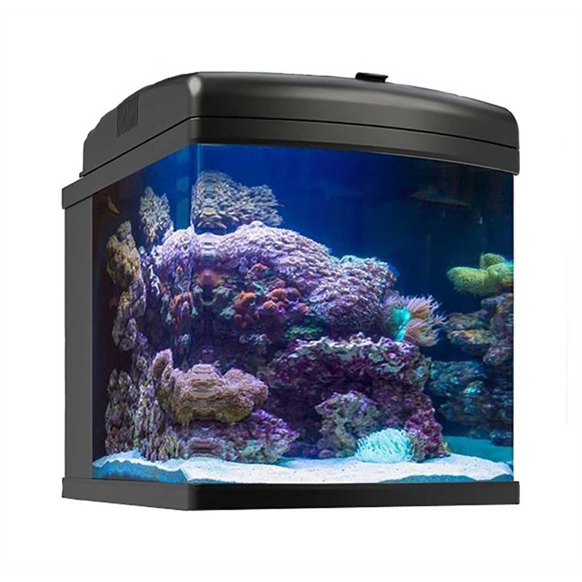 JBJ 28g Nano Cube LED 40W AIO - Pet Supplies online store