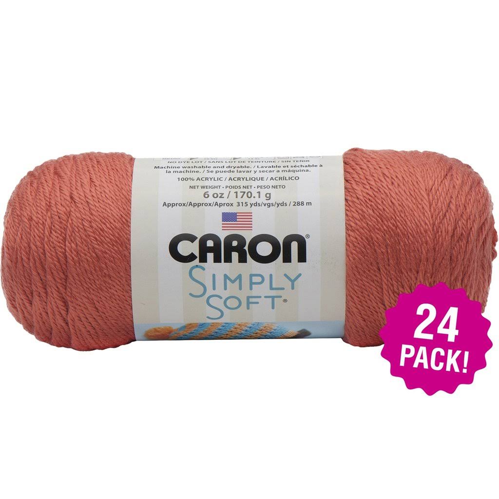 Caron Simply Soft Solids Yarn 24/Pk-Persimmon