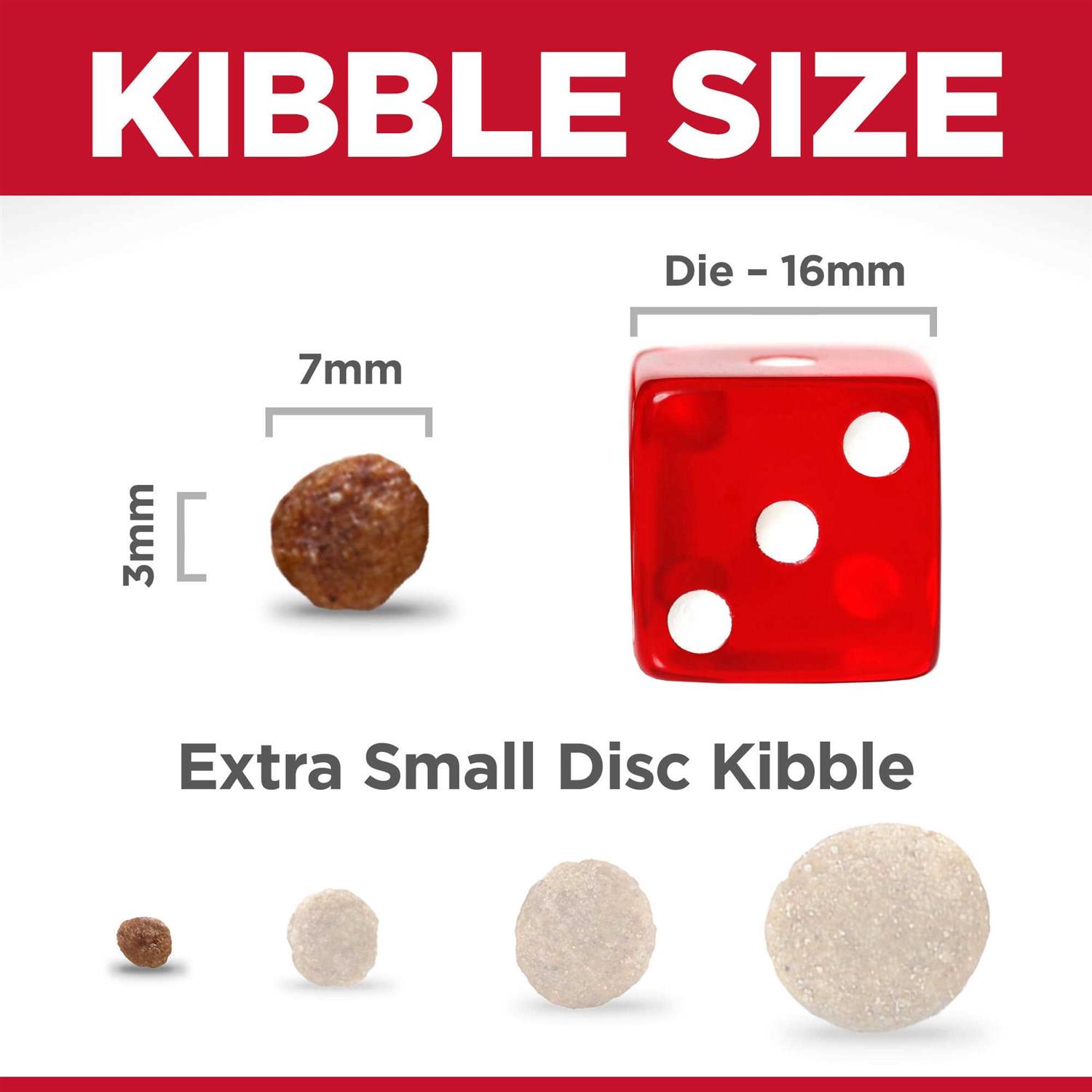 Hill's Science Diet Adult Sensitive Stomach & Skin Small Bites Dry Dog Food - Pet Supplies online store