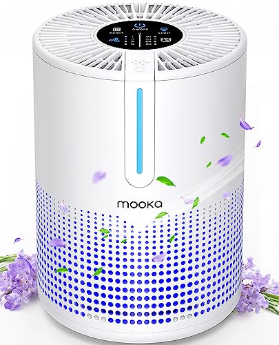 Air Purifiers for Bedroom Home 430 Sq.Ft, MOOKA H13 HEPA Filter Small Portable Air Purifier with USB Cable Fragrance Sponge for Smokers Pollen Pets Dust Odors, Desktop Air Cleaner for Car RV, M01