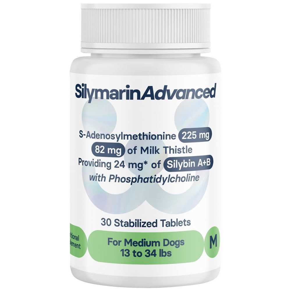 Silymarin Advanced Dogs and 30 tablets - Pet Supplies online store