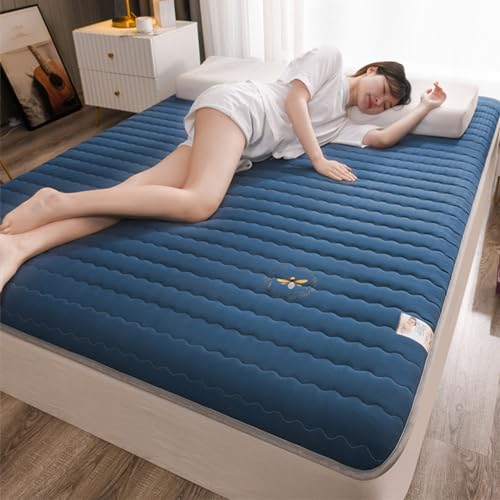 Japanese Futon Mattress Floor Mattress, Foldable Thicken Tatami Mat Dormitory Sleeping Pad Portable Roll up Mattress Pad Breathable Adult Lounger Bed for Camping Couch (White,King)