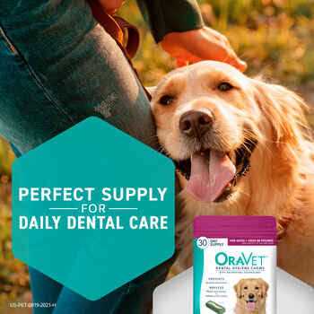 Oravet Dental Hygiene Chews Dogs - Pet Supplies online store