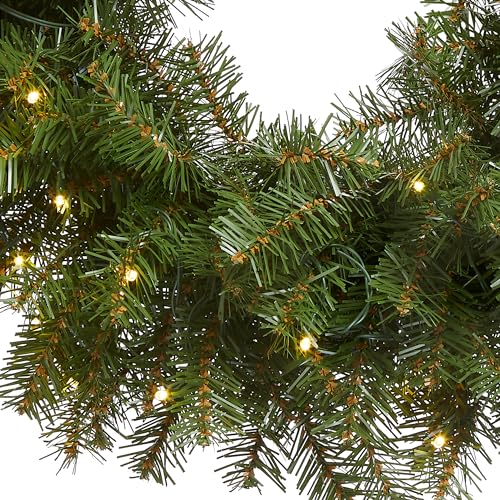 National Tree Company Pre-Lit Artificial Christmas Wreath, Green, Norwood Fir, White Lights, Christmas Collection, 24 Inches
