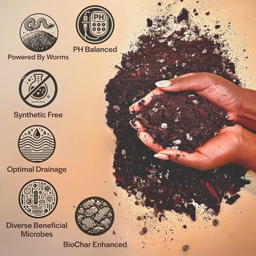 Craft Aroid Potting Mix- Elite Alocasia, Philodendron, Monstera Soil Mix, Chunky, Well Draining Potting Soil for Indoor Plants, All Tropical Plants & Houseplants, Synthetic & Peat Free 8QT