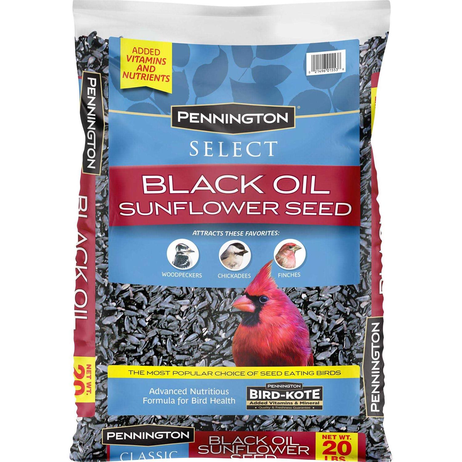 Pennington Select Black Oil Sunflower Seed Wild Bird Feed - Pet Supplies online store