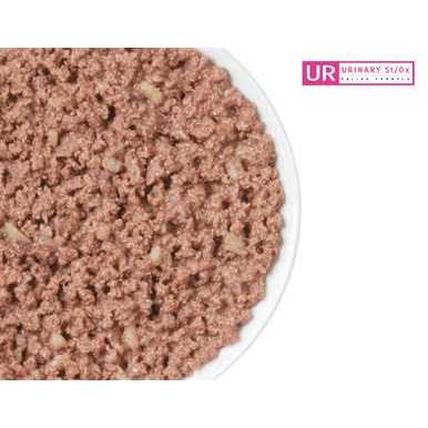 Purina Pro Plan Veterinary Diets UR Urinary St/Ox Feline Formula Wet Cat Food - Pet Supplies online store