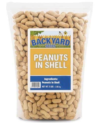 CountryMax Backyard Seeds Peanuts in Shell – Premium in-Shell Peanuts for Birds, Squirrels & Wildlife, Natural USA-Grown, 5 LB Bag, Non-GMO Animal Feed