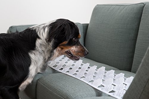 Large (6 Pack) Clear Couch Guard and Furniture Protectors - Keep Dogs & Pets Off Your Sofa, Couch, Chairs & Furniture (Large)