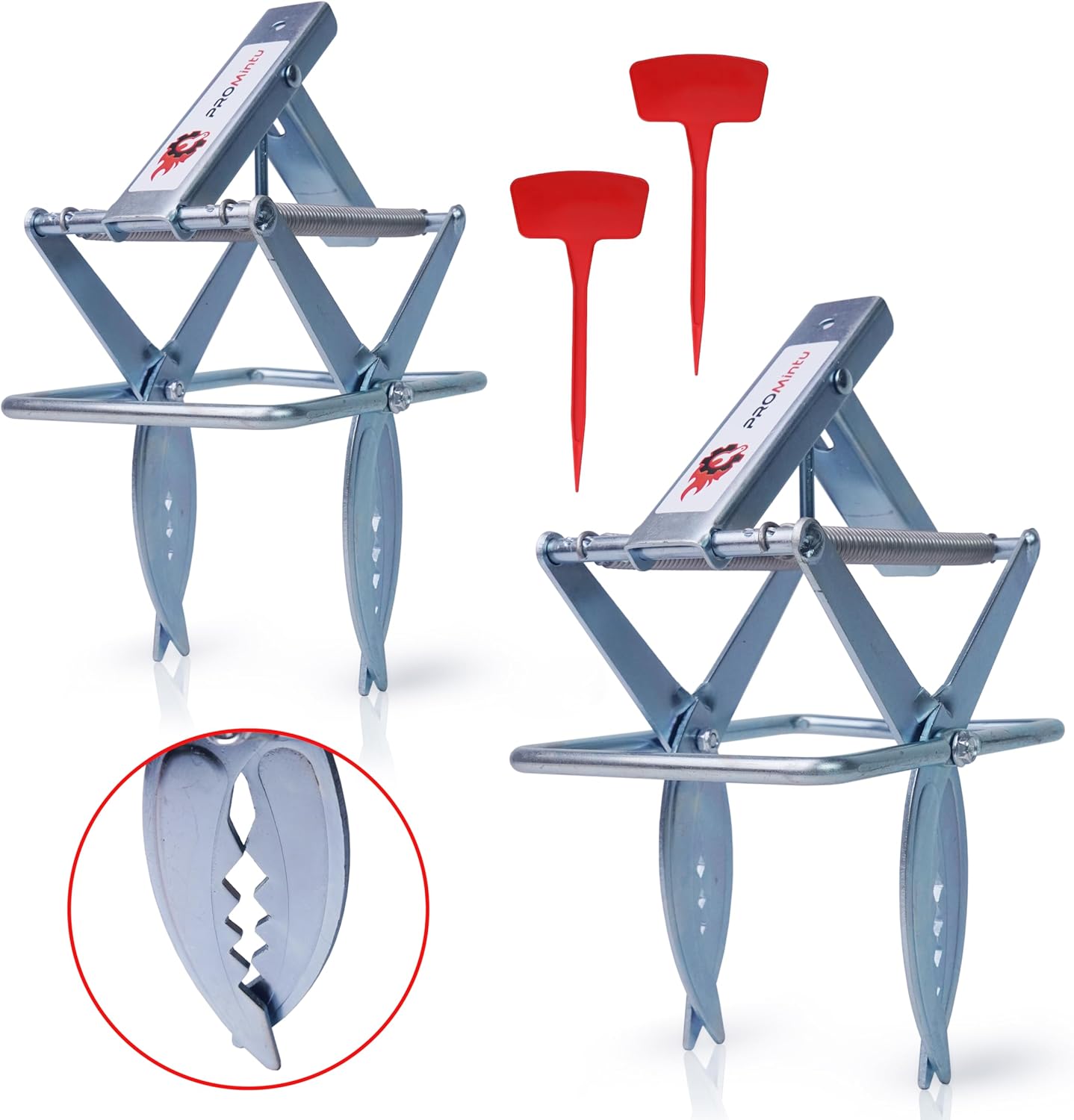 Set 2 Pcs Mole Traps, Gopher Traps That Kill Best. Steel Mole Scissor Trap Easy Set Mole Eliminator Trap Reusable Quick and Clean Kill for Backyards,Gardens Fields, 100% Galvanized Steel