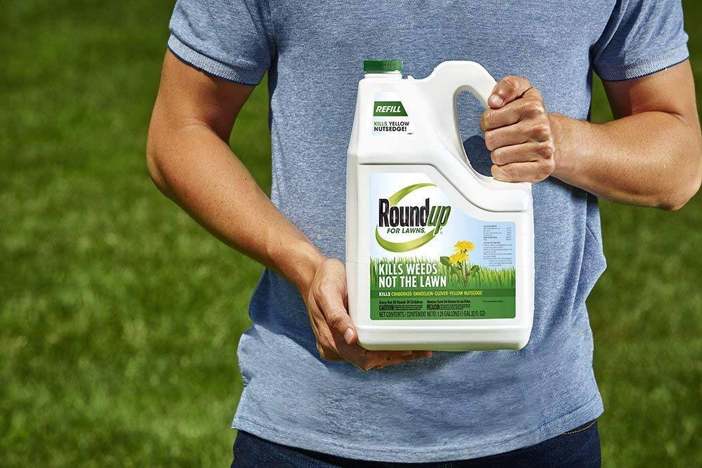 Roundup for Lawns RTU Refill Northern - 1.25 Gallon