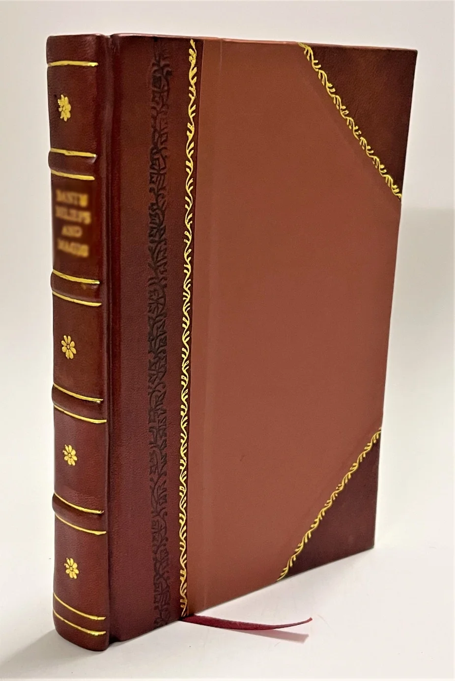The strange case of Dr. Jekyll and Mr. Hyde, with other fables / Stevenson, Robert Louis (1901) [Leather Bound]