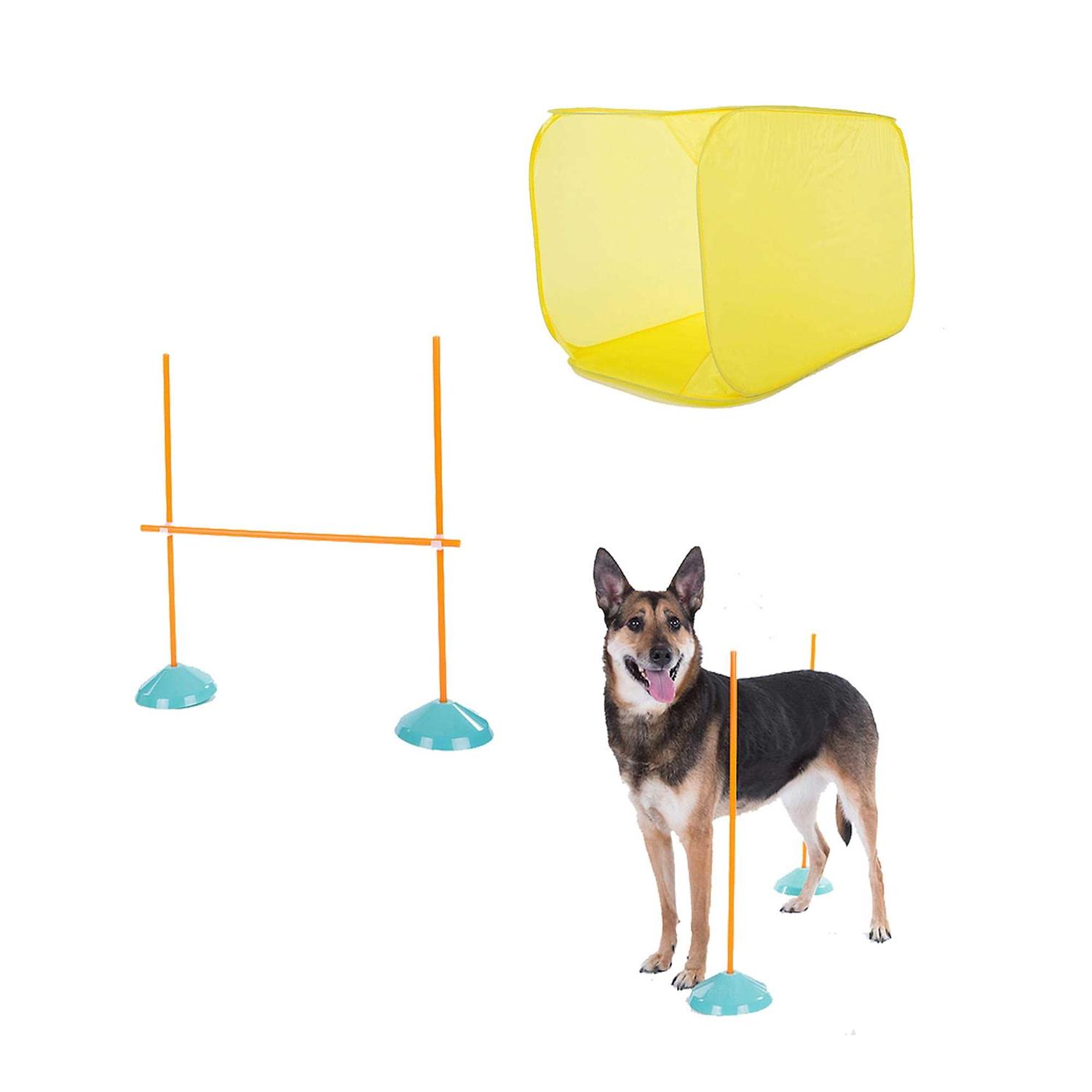 Outward Hound Indoor Dog Agility Kit - Pet Supplies online store