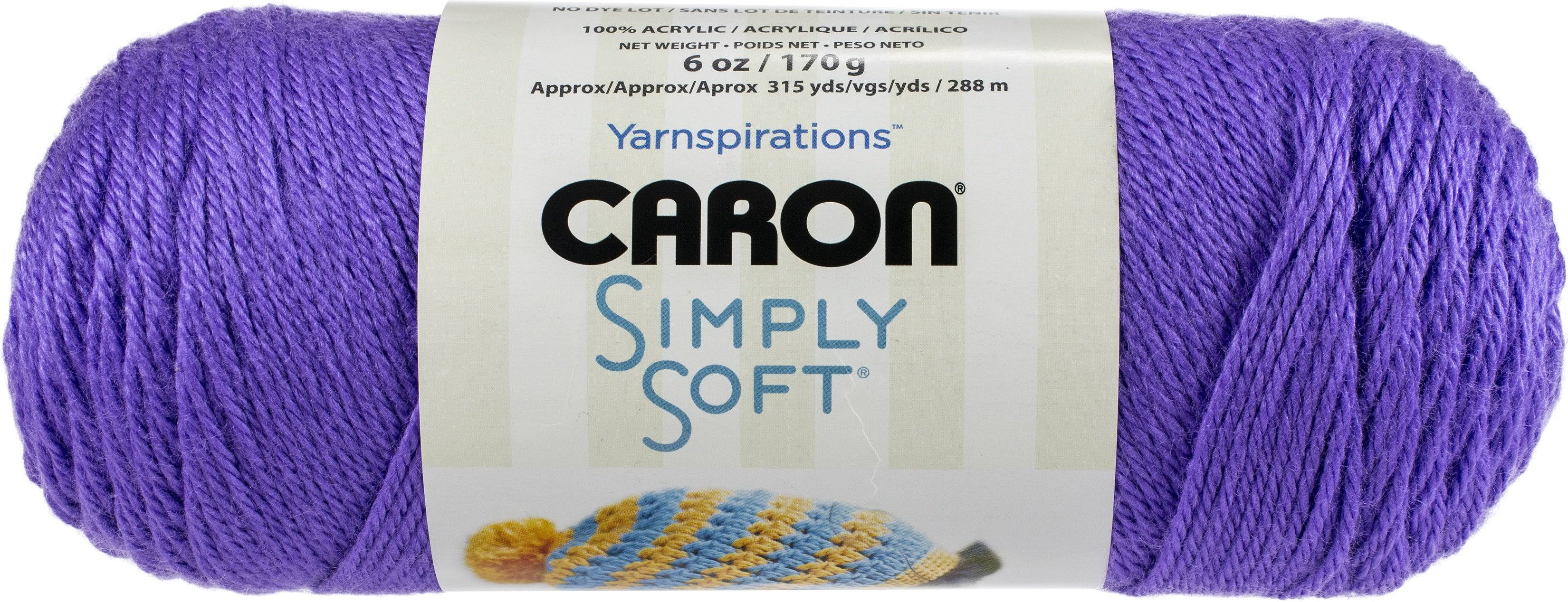 Caron Simply Soft Solids Yarn 24/Pk-Grape, Purple