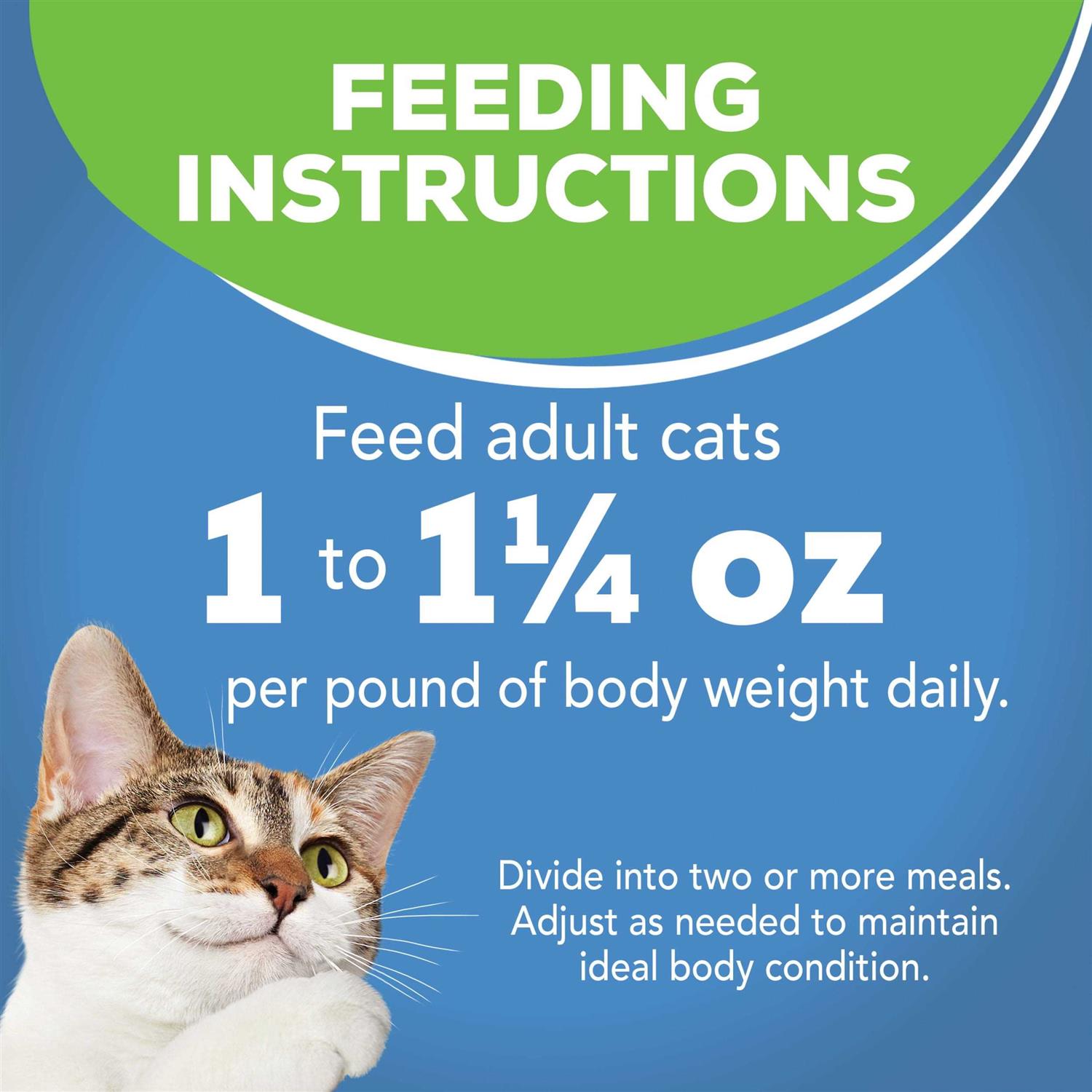 Friskies Indoor Flaked Ocean Whitefish Canned Cat Food - Pet Supplies online store