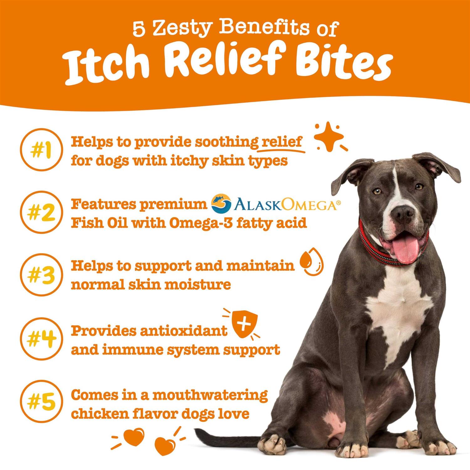 Zesty Paws Itch Relief Bites Chicken Flavored Soft Chews Supplement for Dogs - Pet Supplies online store