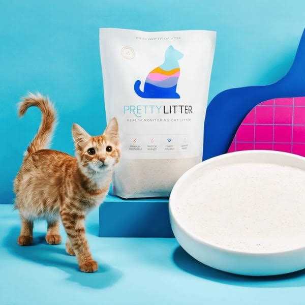 Clumping Prettylitter Health Monitoring Cat Litter - Pet Supplies online store