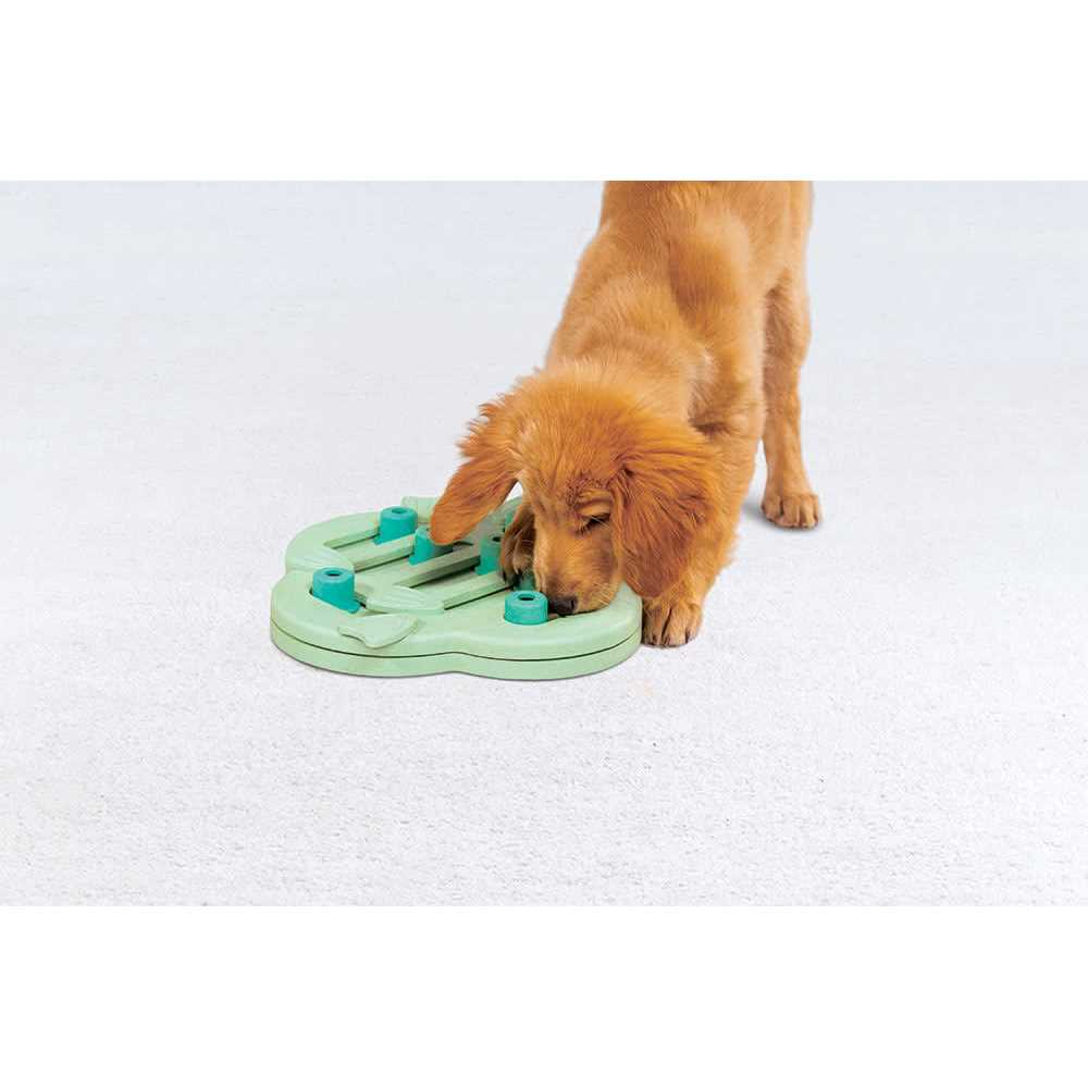 Outward Hound Puppy Hide N' Slide Interactive Treat Puzzle Dog Toy - Pet Supplies online store