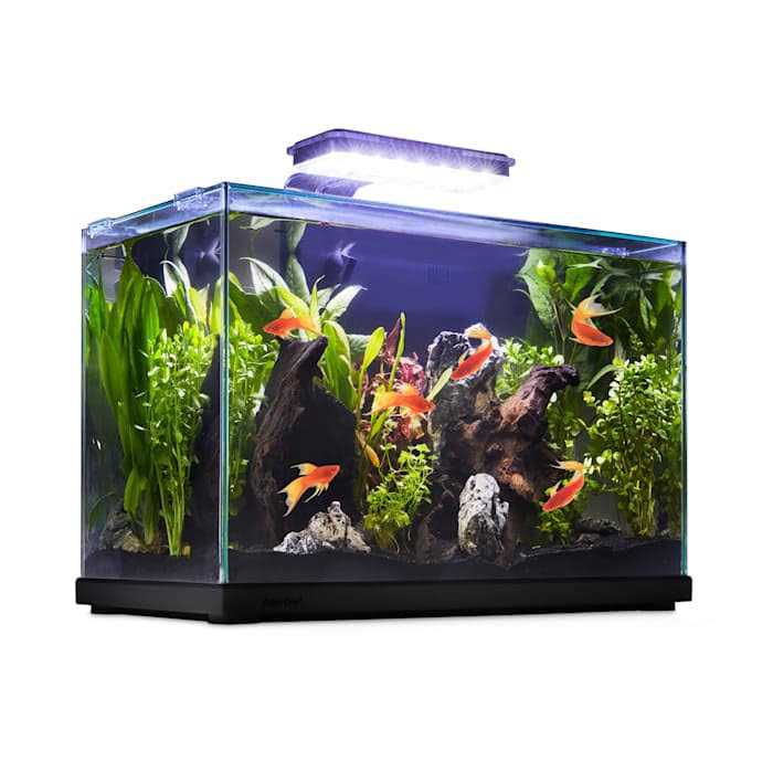 Imagitarium Glass Versa Aquarium - Pet Supplies online store