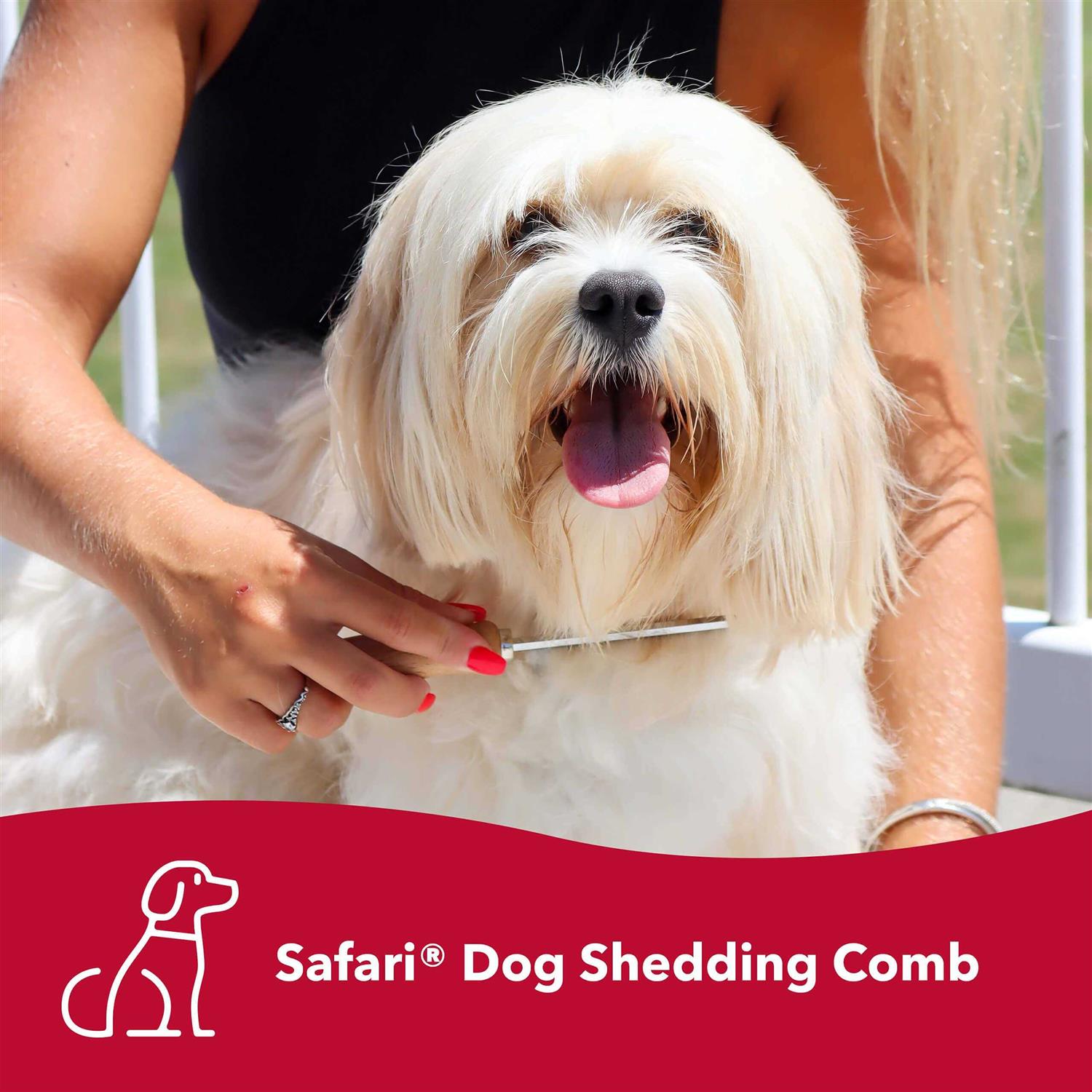 Safari Dog Shedding Comb - Pet Supplies online store