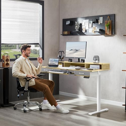 48x24 Inches Electric Standing Desk with 2 Drawers, Height Adjustable Stand up Desk for Home Office, Ergonomic Sit to Stand Table with Storage Shelf, DIY Board, Hooks, Oak