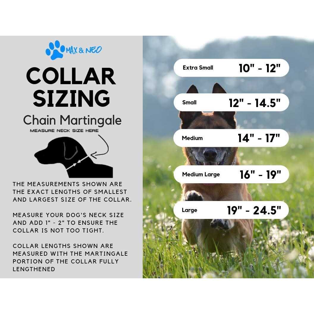 Max and Neo Stainless Steel Chain Martingale Collar We Donate a Collar to a Dog Rescue for Every Collar Sold - Pet Supplies online store