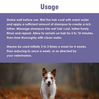 ChloraSeb Antiseptic Dog Shampoo - Pet Supplies online store